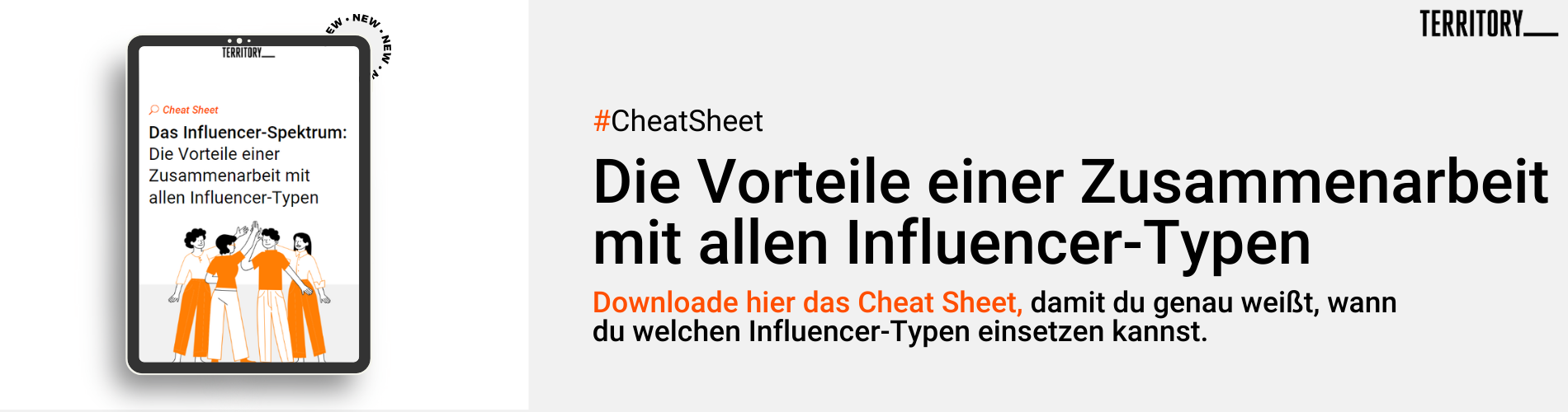 DACH Cheat Sheet Vorteile einer Zusammenarbeit mit allen Influencer-Typen (1)