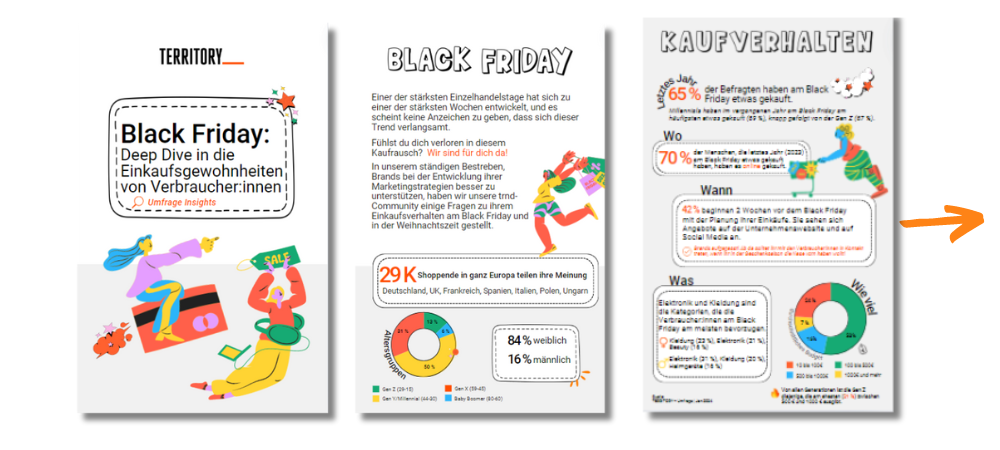 DACH TERRITORY Black Friday Report Sneak Preview