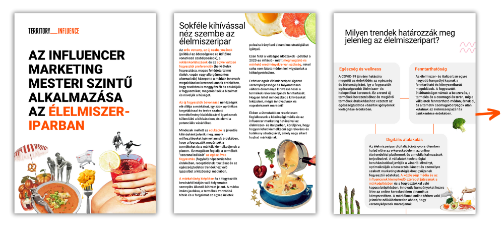 TERRITORY Influence_Food Industry Guide (3)